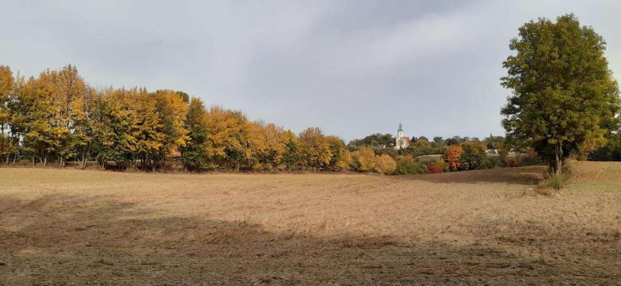 Przystanek Bajka W Puszczy Zielonce Villa Dabrowka Koscielna ภายนอก รูปภาพ
